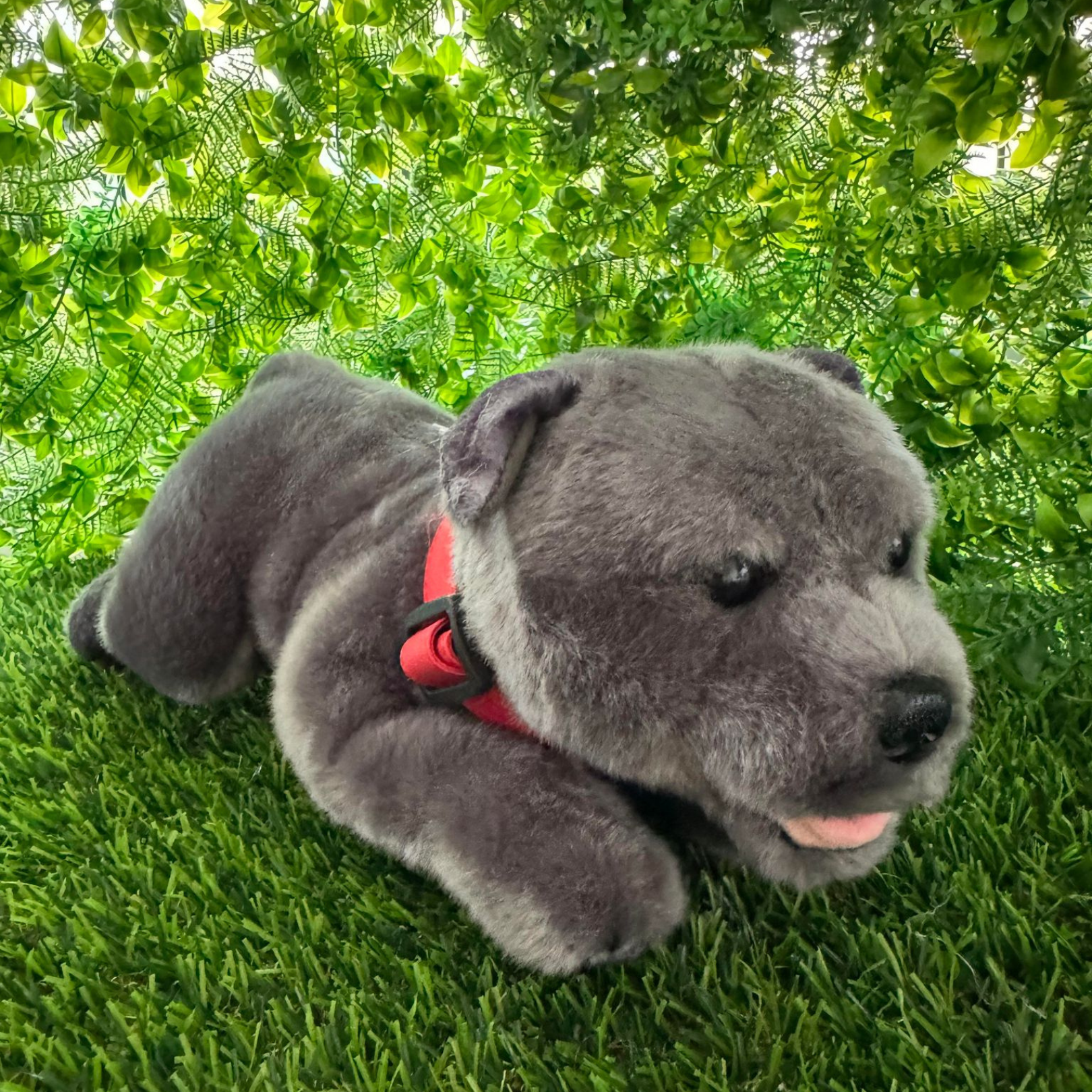 Blue Staffordshire Bull Terrier Plush Back To Nature Co