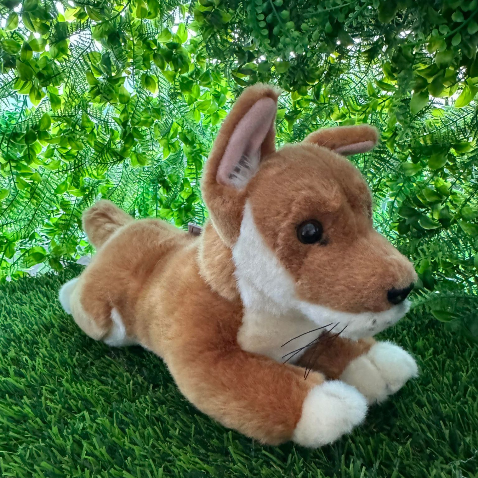 Max the Dingo by Bocchetta Plush Toys Back To Nature Co