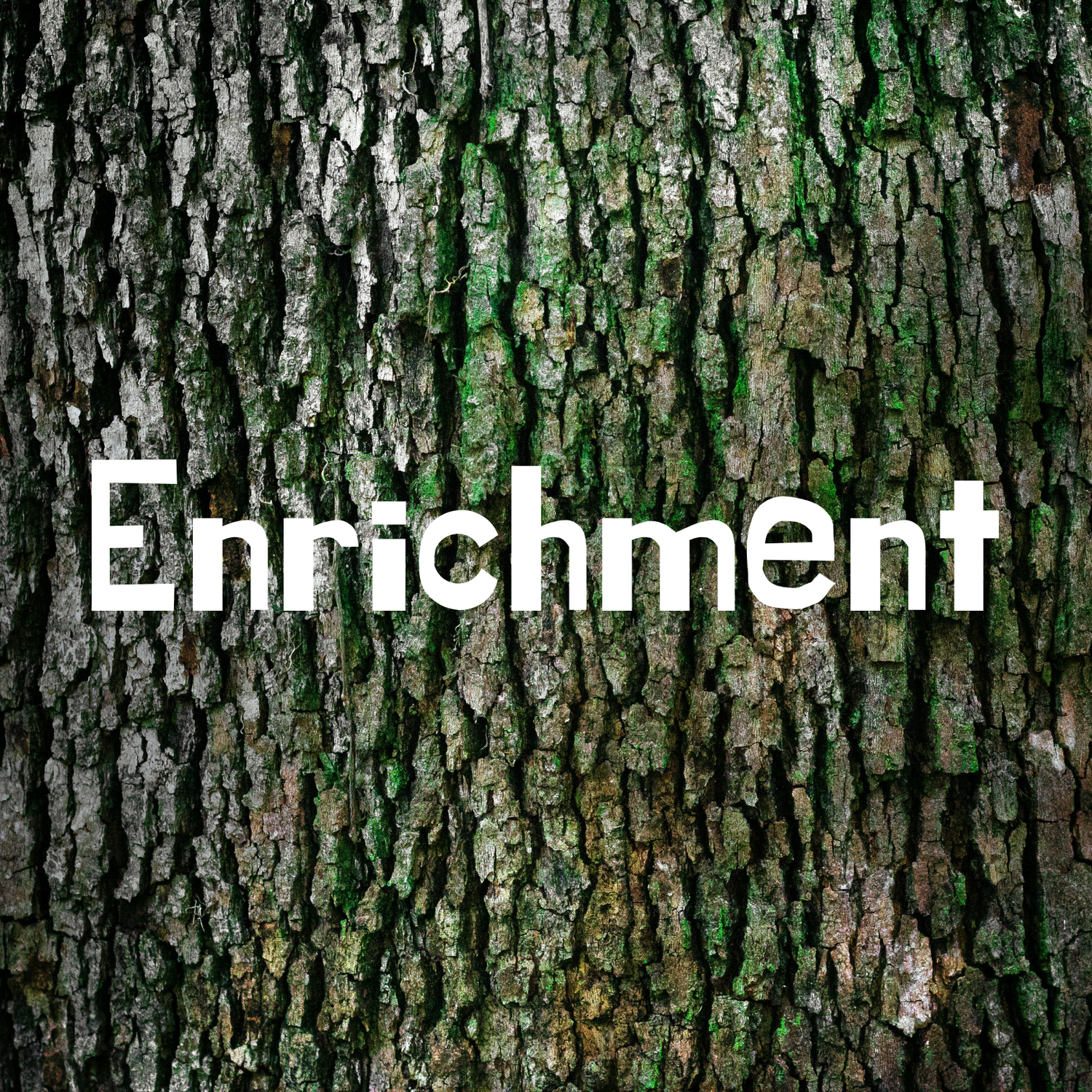 Pets at home best sale back to nature