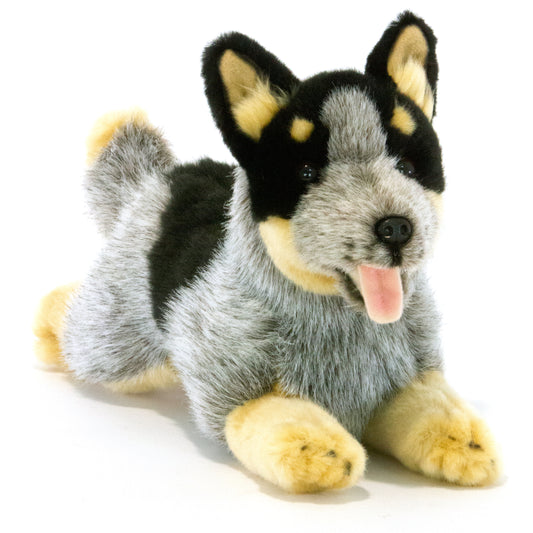 Blue Australian Cattle Dog Plush