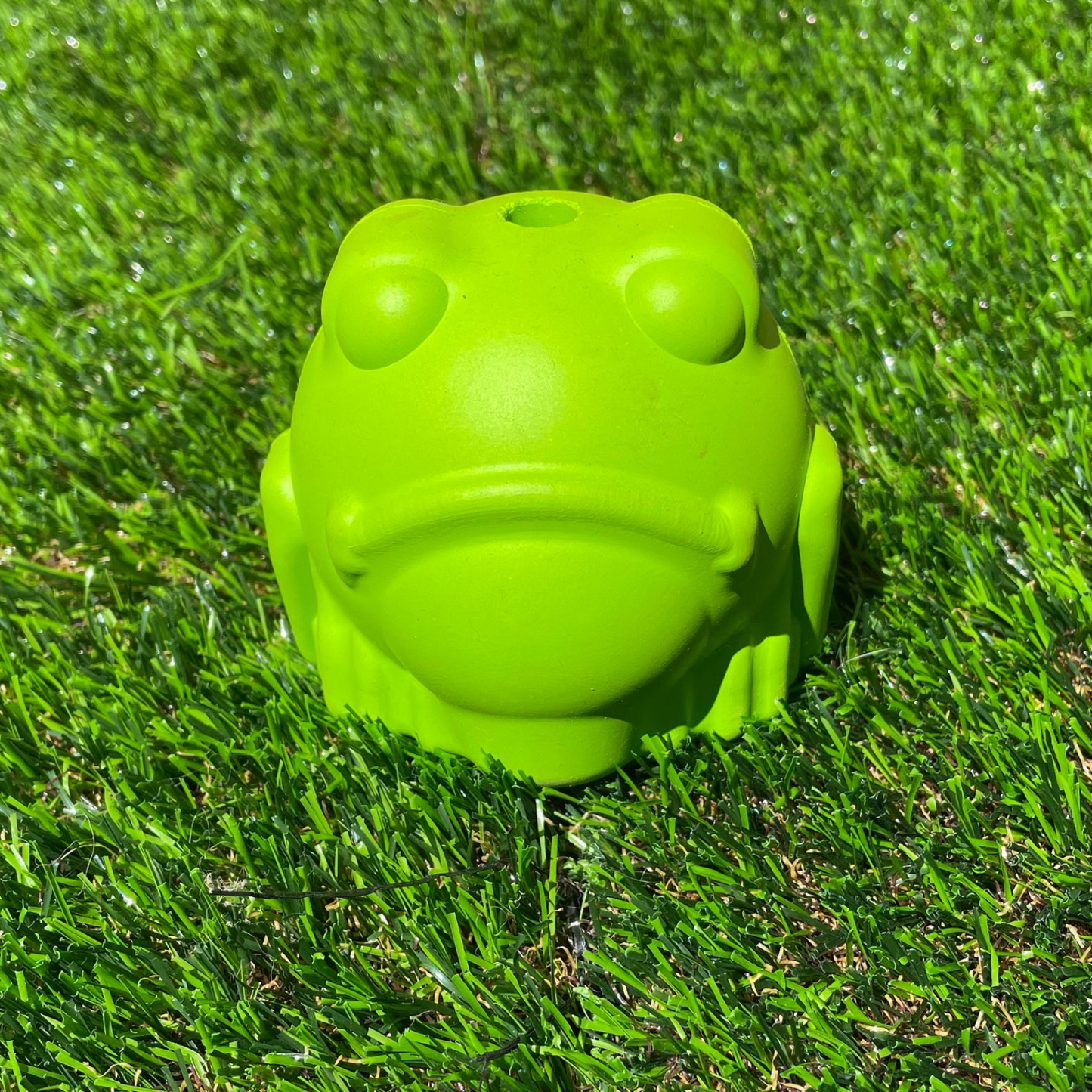 Bull Frog Rubber Chew Toy & Treat Dispenser