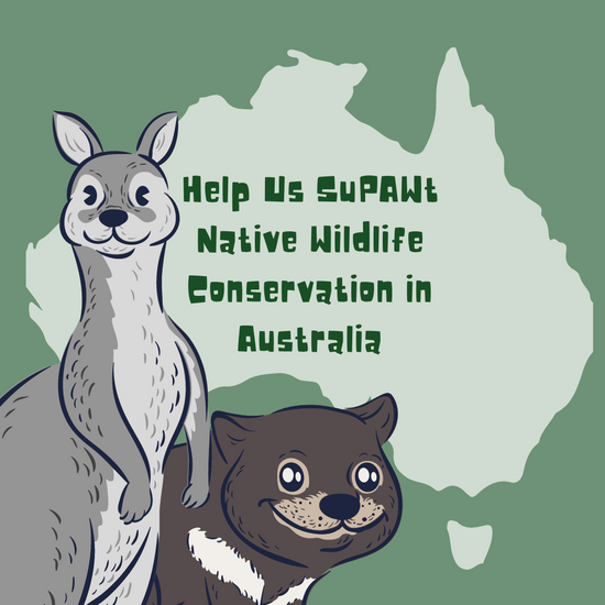 Pets at home best sale back to nature