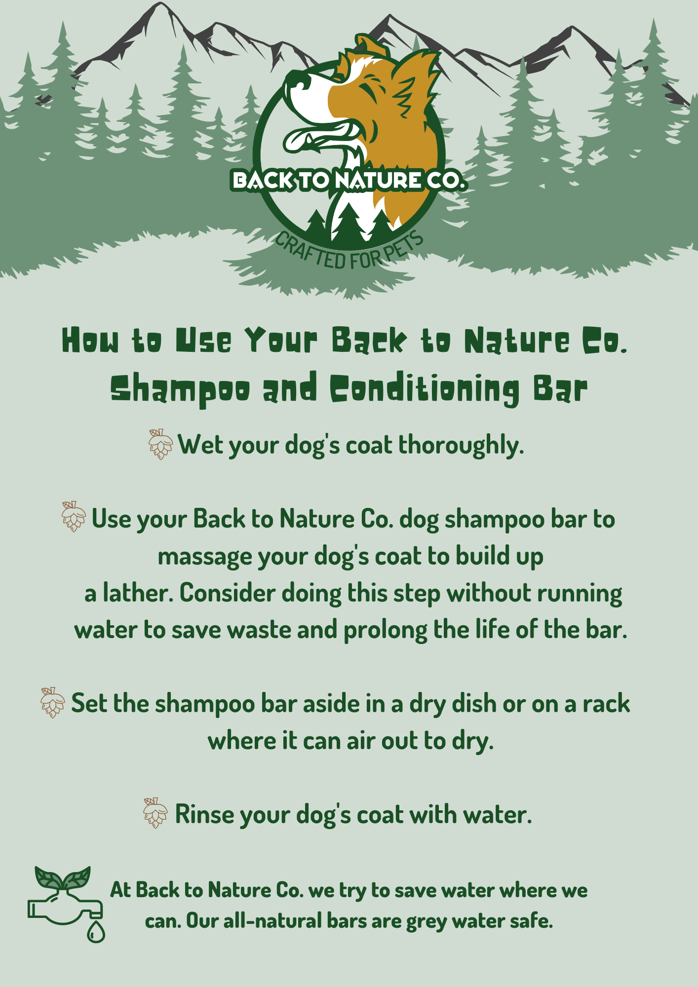 Unscented Shampoo & Conditioning Bar