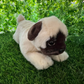 Fawn Pug Plush