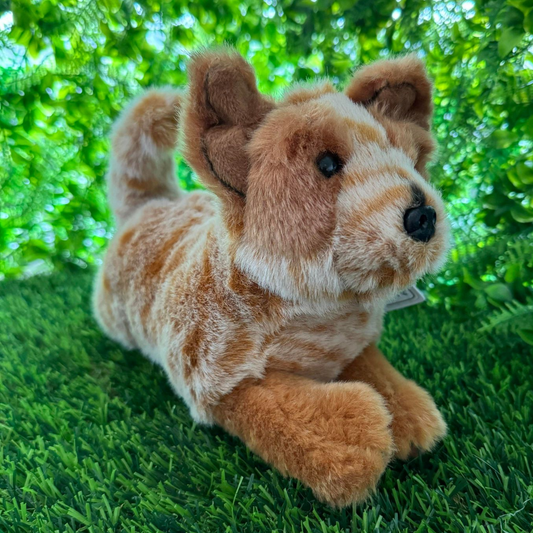 Red Australian Cattle Dog Plush